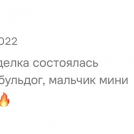 отзывы о нашем питомнике (11)
