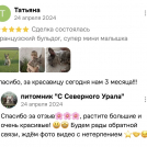 отзывы о нашем питомнике (50)