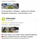 отзывы о нашем питомнике (52)