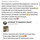 отзывы о нашем питомнике (68)