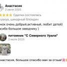 отзывы о нашем питомнике (72)