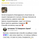 отзывы о нашем питомнике (76)