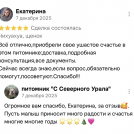 отзывы о нашем питомнике (81)