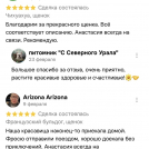 отзывы о нашем питомнике (92)