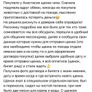 отзывы о нашем питомнике (100)