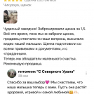 отзывы о нашем питомнике (106)