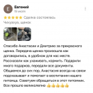 отзывы о нашем питомнике (111)