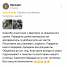 отзывы о нашем питомнике (114)