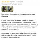 отзывы о нашем питомнике (118)