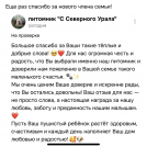 отзывы о нашем питомнике (121)